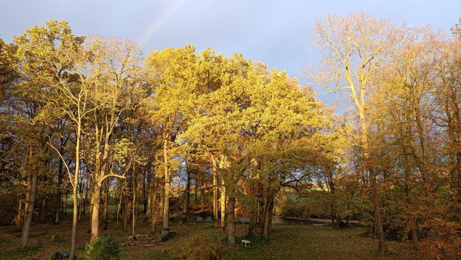 Herrenhaus Harmshagen Testorf-Steinfort Buitenkant foto
